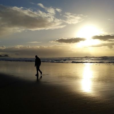 duckyd13's profile picture. Imputationist