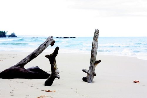 thebocasdeltoro's profile picture. A complete guide to the gorgeous archipelago of Bocas Del Toro