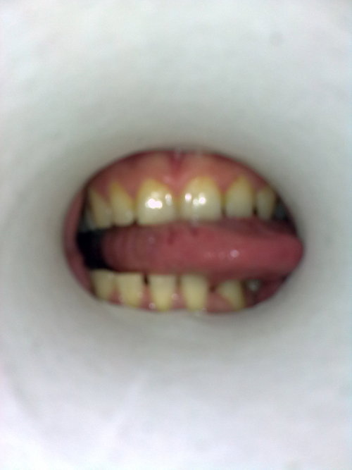 SzpakAntoni's profile picture. 