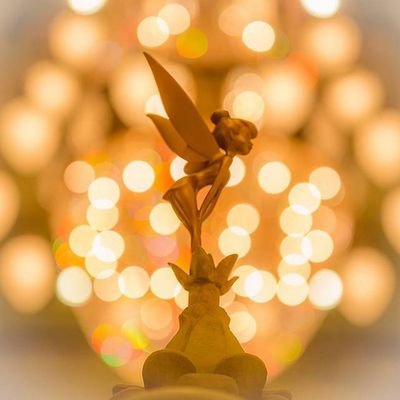 w3miyuki's profile picture. 