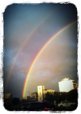 green_green0306's profile picture. 