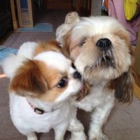 ジュン (@mld24839) 's Twitter Profile