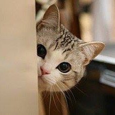 masa_mayum's profile picture. 趣味で写真やってるので、セクシーな衣装を着てくれる方いませんか？