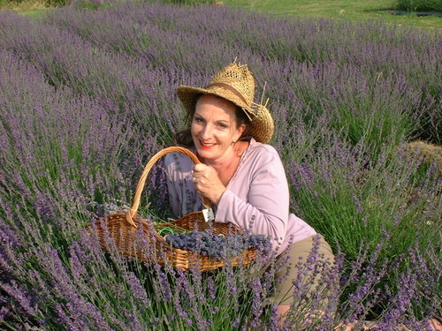 wildlife_conservation _environment_moving from 15 years lavender farming_new life and business in Scotland @lavanda_mia 

personal @ff_joanna