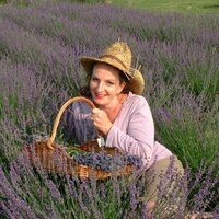 LavandaMia formerly Shropshire Lavender (@shroplavender) 's Twitter Profile
