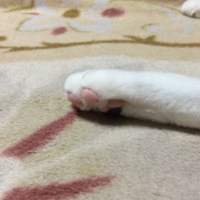 ghost_orange's profile picture. 〰︎〰︎〰︎🌨〰︎〰︎ mu_nu lam