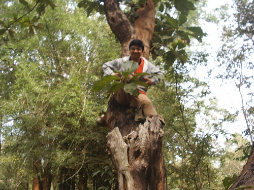 Atulya Bharadwaj