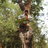 atulyarb's profile image