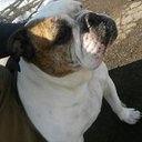 John Shaffer III - @jshaffiii - Twitter