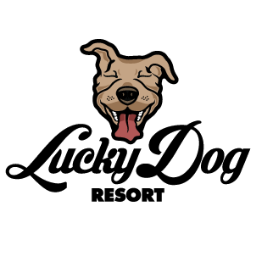 A luxury vacation & daycare social club in Newport County, RI for dogs who want to play while their parents are busy. Luxury boarding available now.