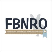 Frenchie Network (@frenchie_rescue) 's Twitter Profile