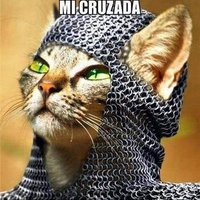 Nuevo comunero 🐱💜🔻 (@nuevocomunero) 's Twitter Profile Photo Nuevo comunero 🐱💜🔻 (@nuevocomunero) 's Twitter Profile Photo