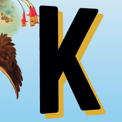 2e édition du festival #KermezzooRomans à @VilleDeRomans par @justepourrirefr du 30 juin au 2 juillet 2016 avec @normandesvideos #humour #justepourrire