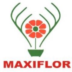 Maxiflor