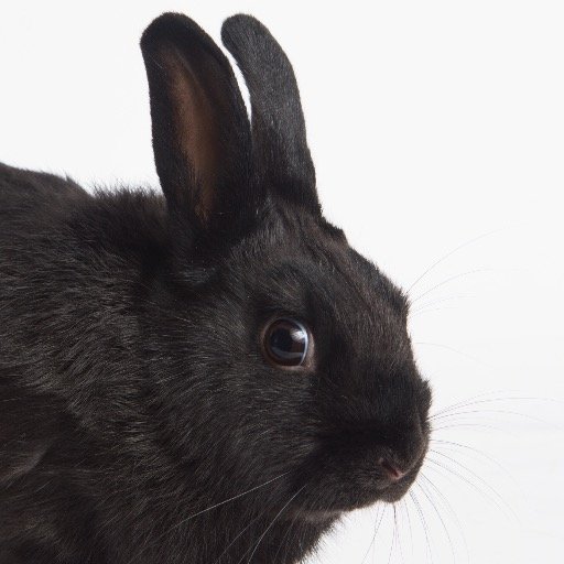 DocHopperMD's profile picture. 