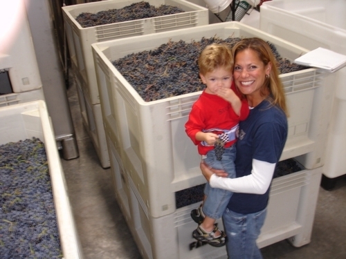 Director of Sales at Betz Family Winery