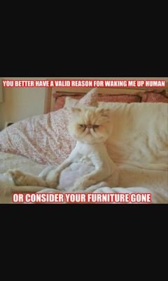 jamesd124's profile picture. 