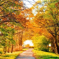Rabia (@nesim2003) 's Twitter Profile
