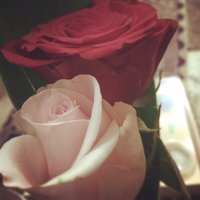 خزنه نايف. (@itzkh__33) 's Twitter Profile