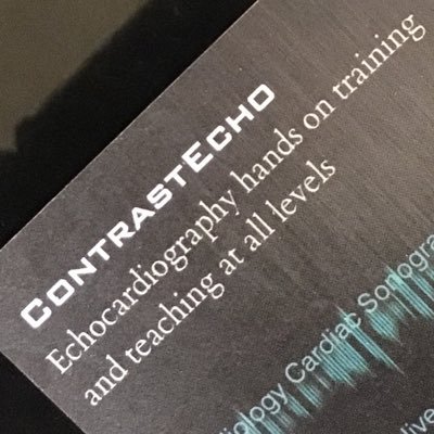 contrastecho's profile picture. Echotalk