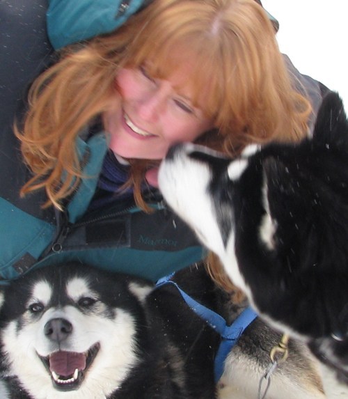 Voice4Sanity's profile picture. 