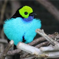 Sally (@sallyhiho) 's Twitter Profile Photo