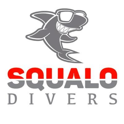 squalodivers Profile Picture