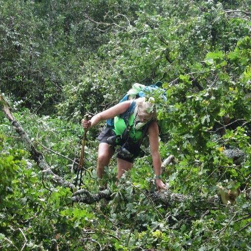 ultra61600's profile picture. 