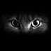 msm (@msmcode) Twitter profile photo msm (@msmcode) Twitter profile photo