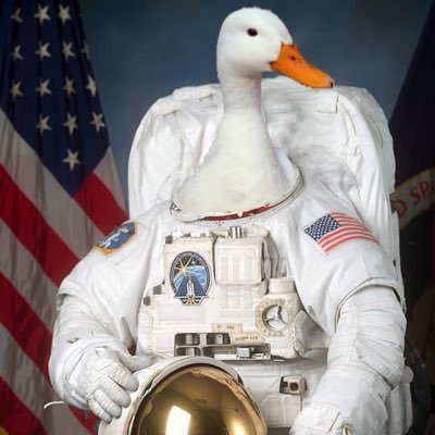 spacegeek912's profile picture. Not much goes on around here