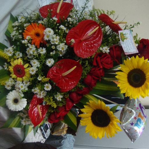 68Mcarmen's profile picture. Amante de la paz y el amor por mi Venezuela Cristiana Revolucionaria y Socialista