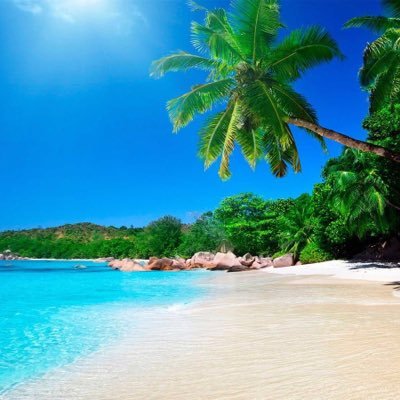 javier_osacar's profile picture. 