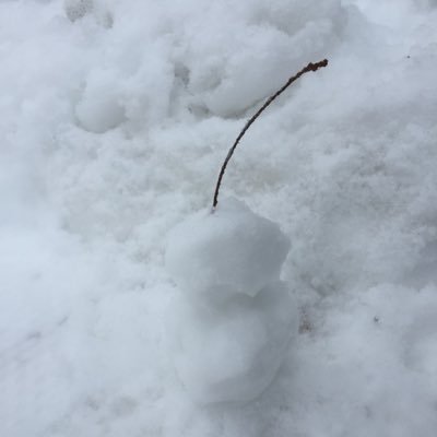 このアカウント使いません
