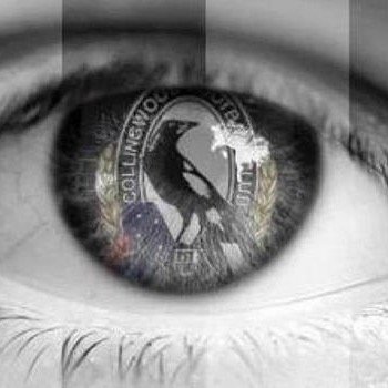 A dedicated follower of sports, finance and matters political and oh yes, a footy tragic. The comments are mine. Go Pies!