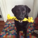 James Nyman - @JamesNyman1 - Twitter