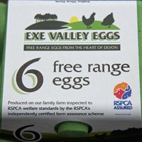 Exe Valley Eggs(@exevalleyeggs) 's Twitter Profile Photo