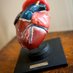 UoM Medical Museum (@manmedmuseum) Twitter profile photo UoM Medical Museum (@manmedmuseum) Twitter profile photo