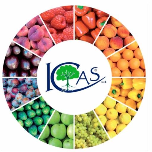 Italian based Company specialized in production, Import&Export and B2B distribution of fertilizers and biostimulants for organic and traditional agriculture