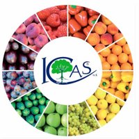 ICAS International (@icas_srl) 's Twitter Profile