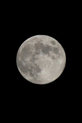 I ♡ star, moon, sky, sea, flower, music, stationary & much more.
Memorandum & Soliloquy