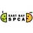 East Bay SPCA