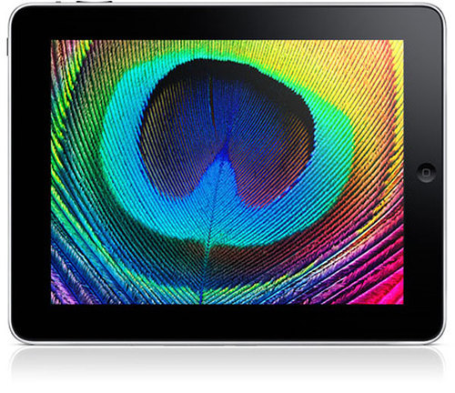 iPad_Tweeter's profile picture. Preordered my iPad today!  I am a 62 year old geek!!