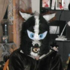 i am a 45yr male, into the fursuit fandom, and a gear head