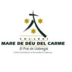 Professora de Ciències i Tecnologia al 1r cicle de l'ESO del col·legi Mare de Déu del Carme, del Prat de Llobregat.