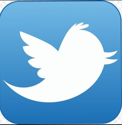 SocialMSecurity's profile picture. 