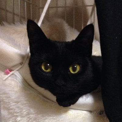 sk_wannabeacpa's profile picture. 元会計士受験生/H28Ⅰ68.4%○→H28論文○/大原/上級/社会人なれます！/ひっそり育休中(5m)