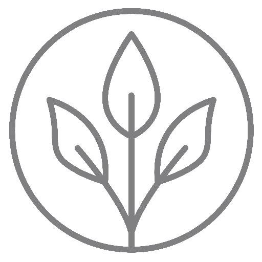 At @rooted_truth, we're on a truth-seeking journey toward healthful living; toward lives of passion, enthusiasm, and purpose. We hope you'll join us!