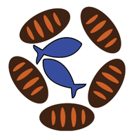 MobileLoaves&Fishes (@mlfnow) 's Twitter Profile