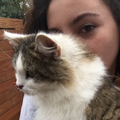 SophiaBauer's profile picture. 