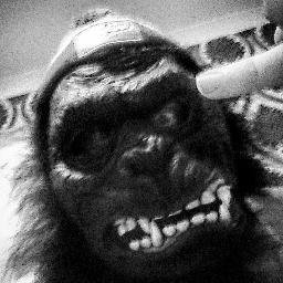 N3TFR3AK's profile picture. gta v online game play and more